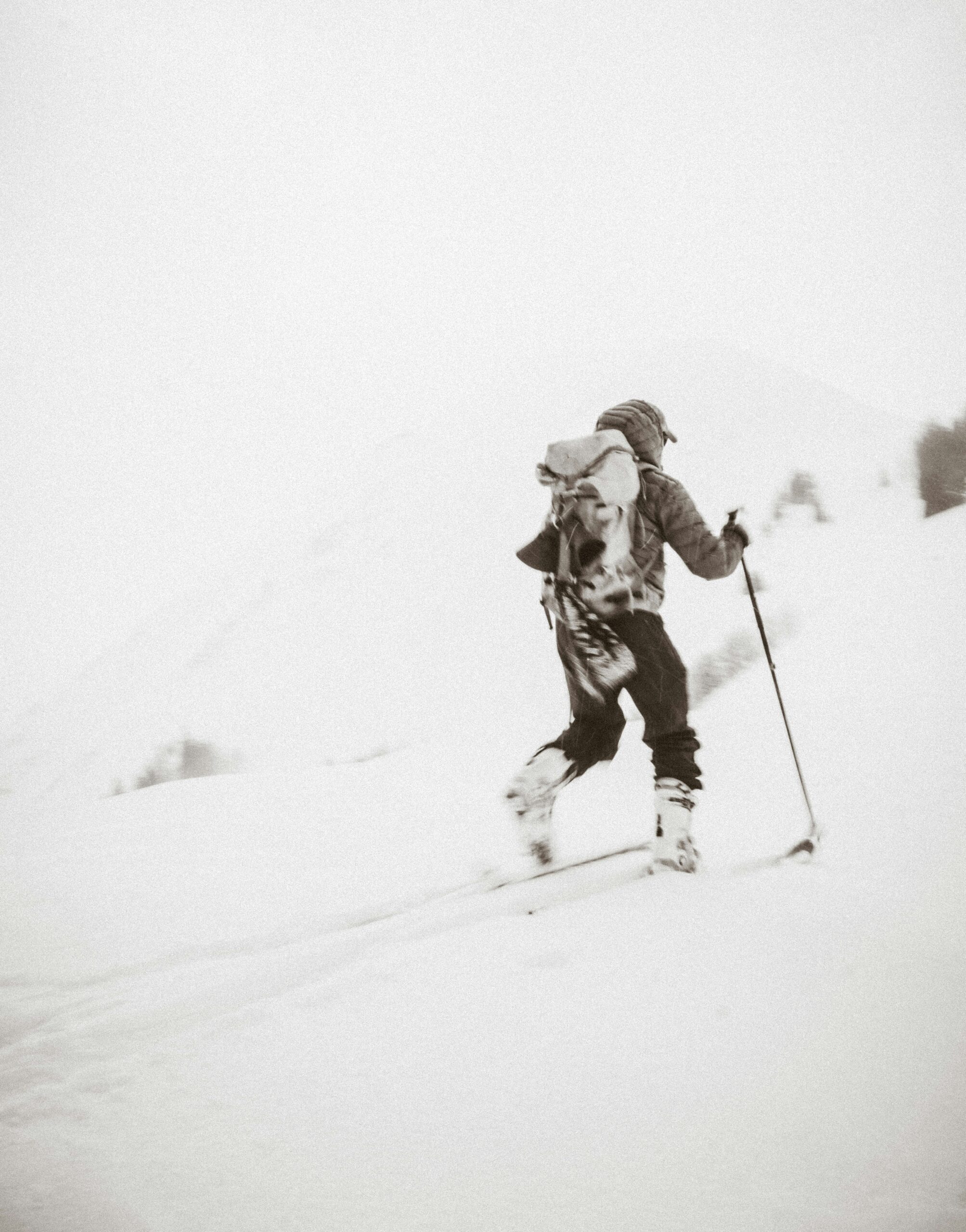 brent-olson--5avyhZnXxo-unsplash