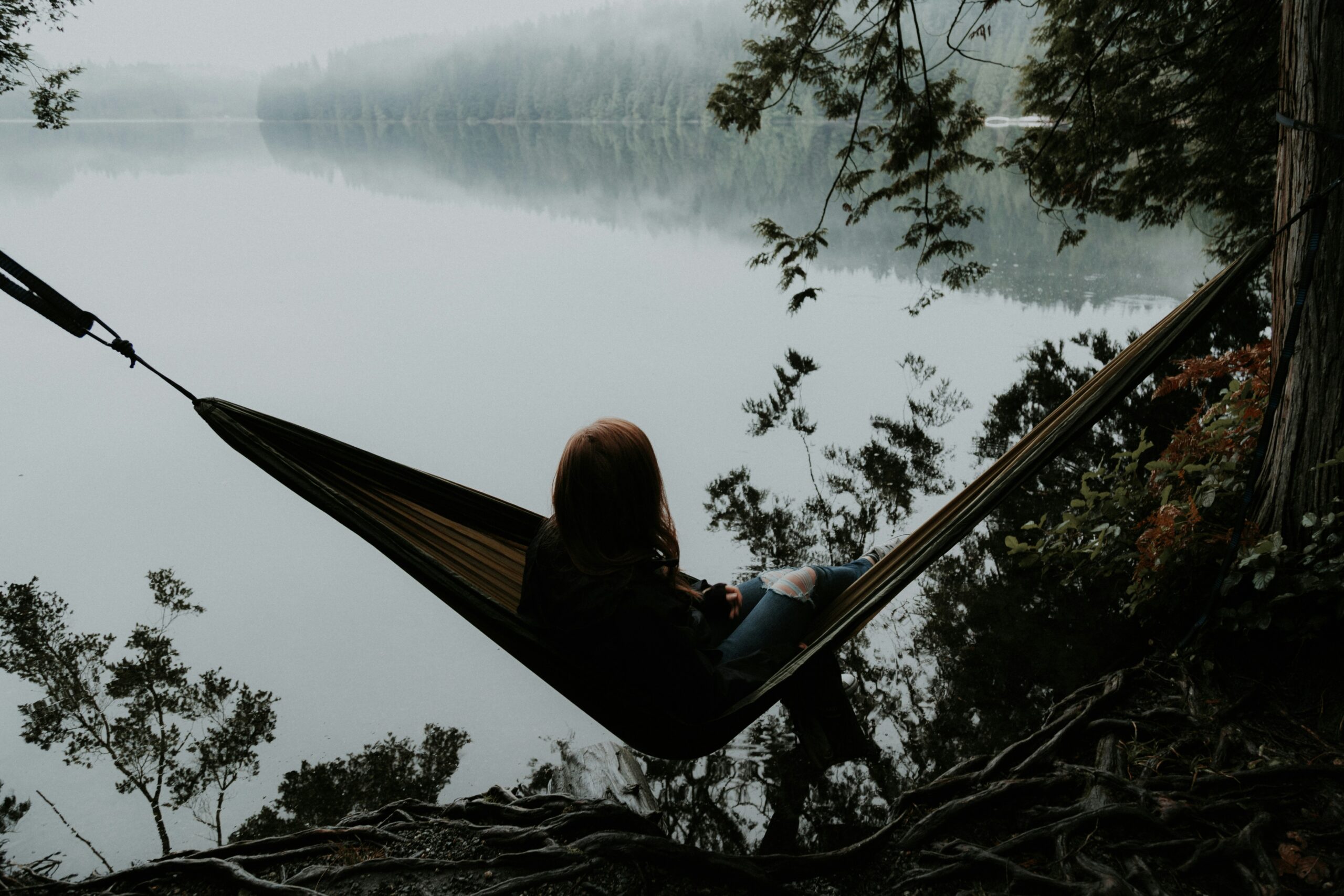 priscilla-du-preez-rQGw3n62Rds-unsplash